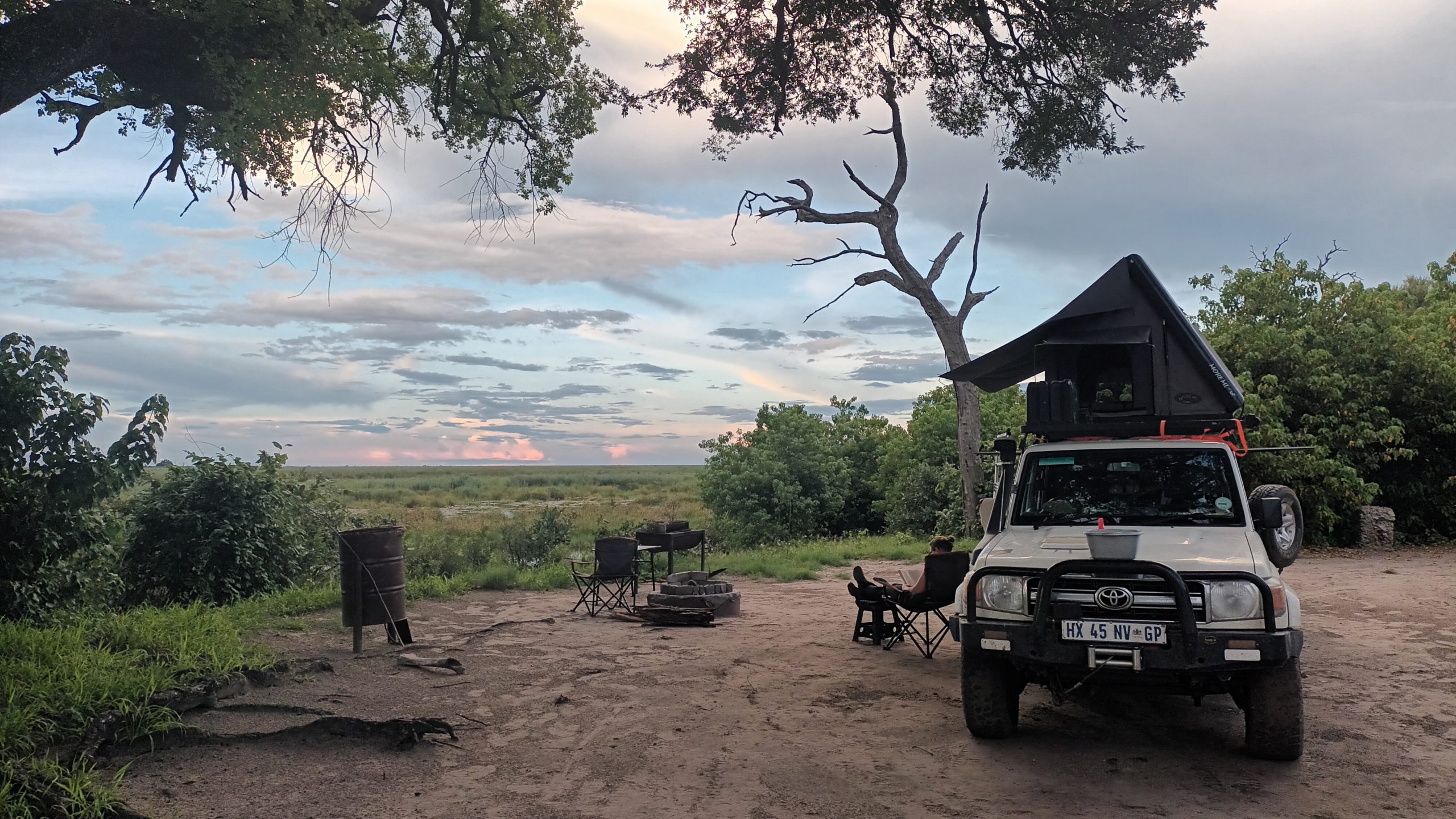 African Bush