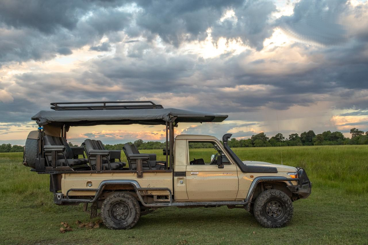 Exclusive Safari